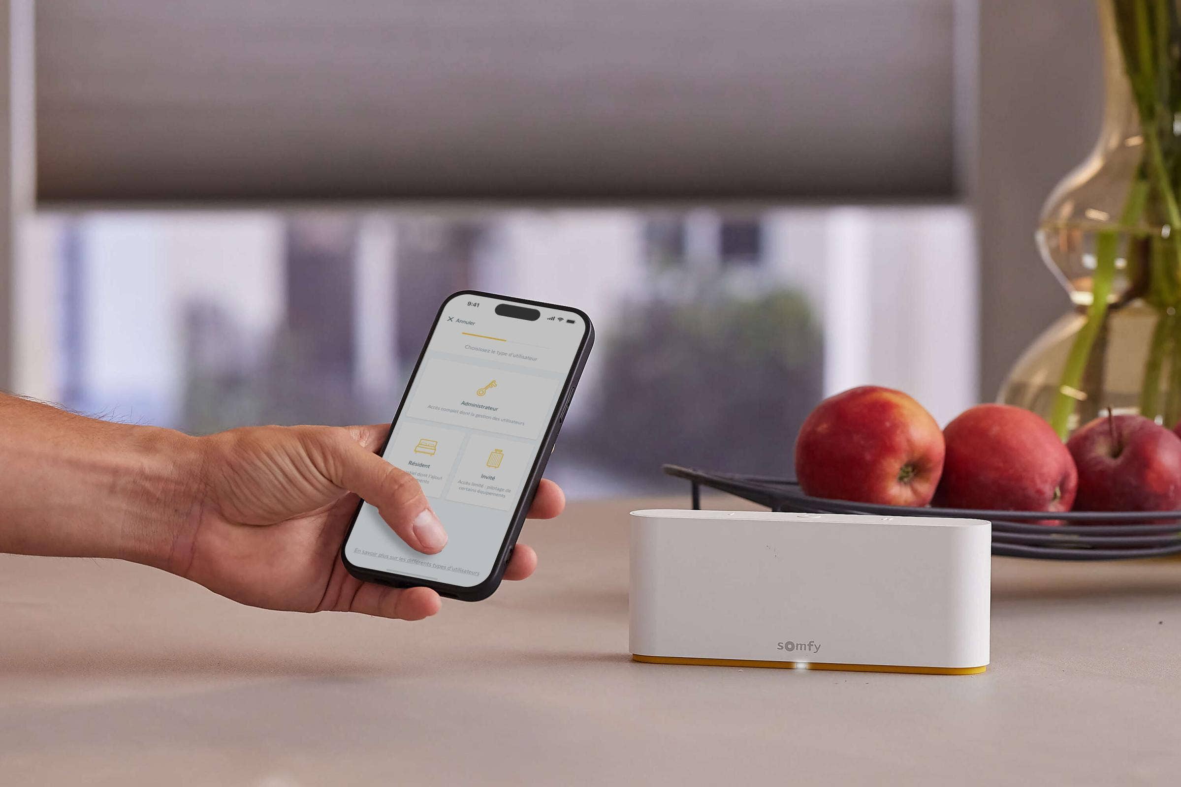 Somfy Rollläden smart per TaHoma steuern