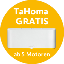 Somfy Renovierungskit Funk + TaHoma Switch + Solarsensor Sunteis io