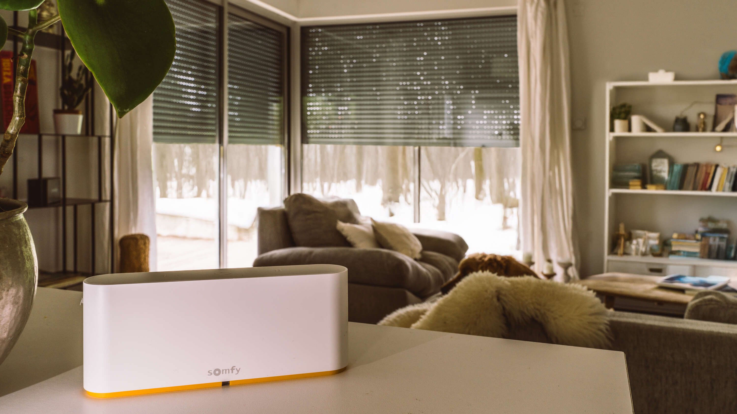 Smart Home