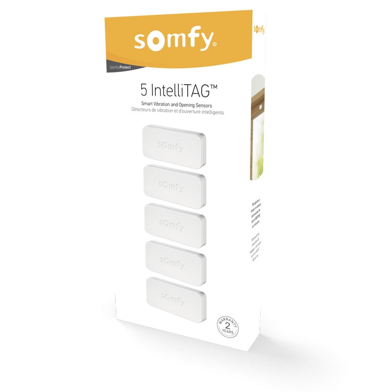 Somfy IntelliTAG Erschütterungssensor 10er Pack
